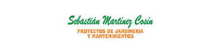 SEBASTIAN MARTINEZ COSIN
